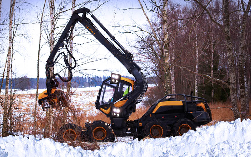 Perfect in all climates